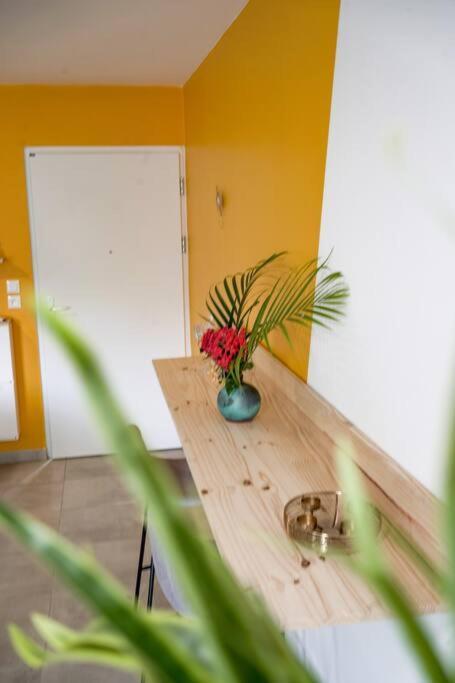 Le Marie-Agnes Appartement Neuf De Standing Fort-de-France Luaran gambar